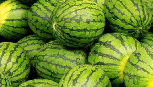 The origin of watermelon?